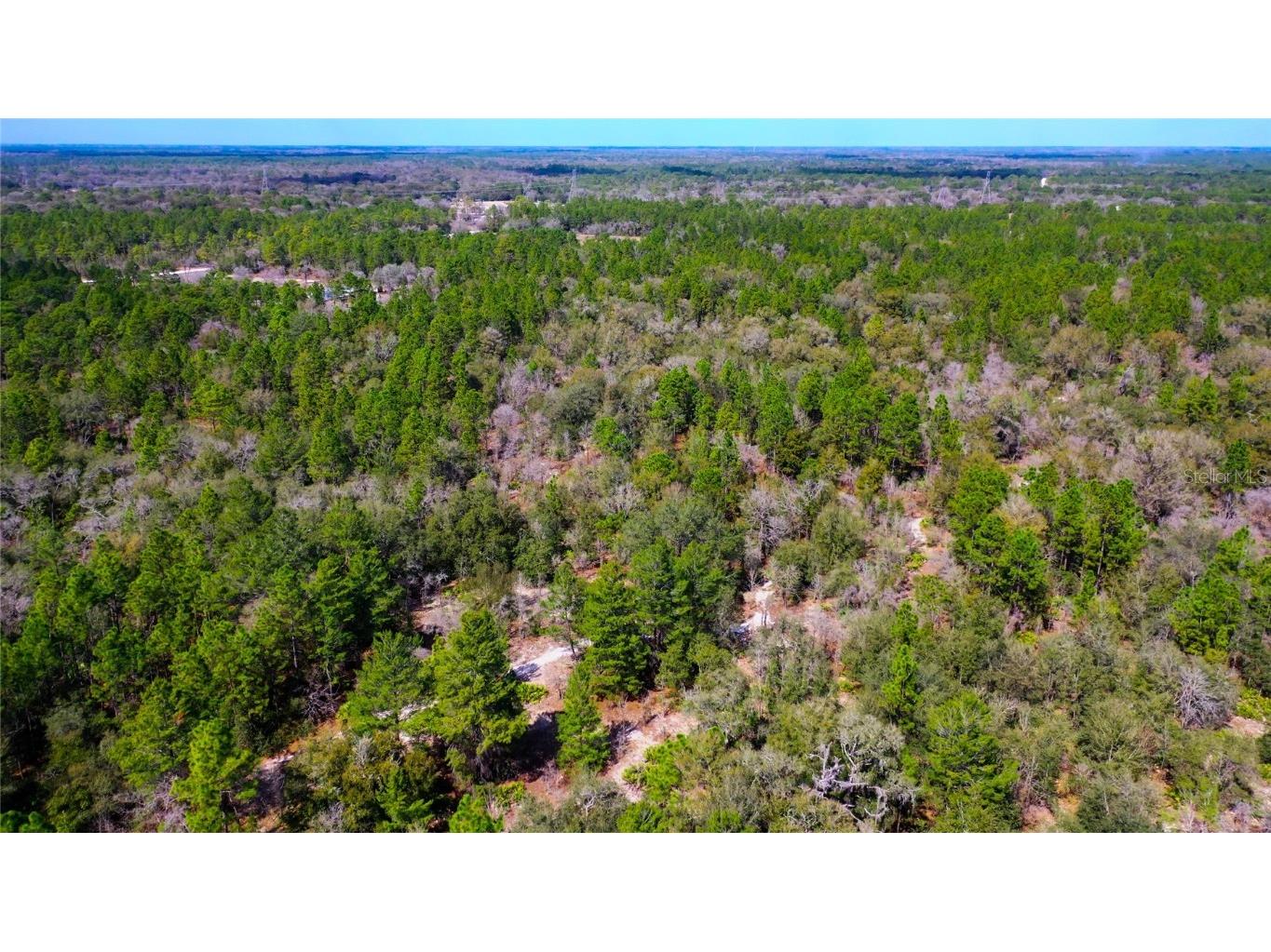 7137 W Sunmar Sample Lane Dunnellon FL 34433 TB8381410 image18