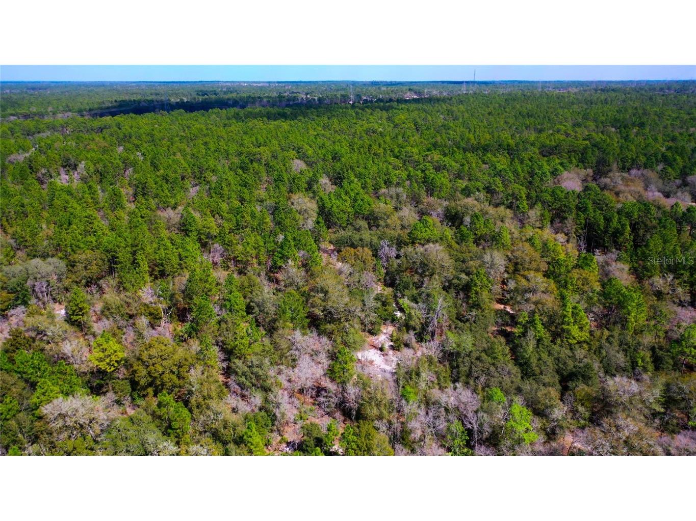 7137 W Sunmar Sample Lane Dunnellon FL 34433 TB8381410 image19