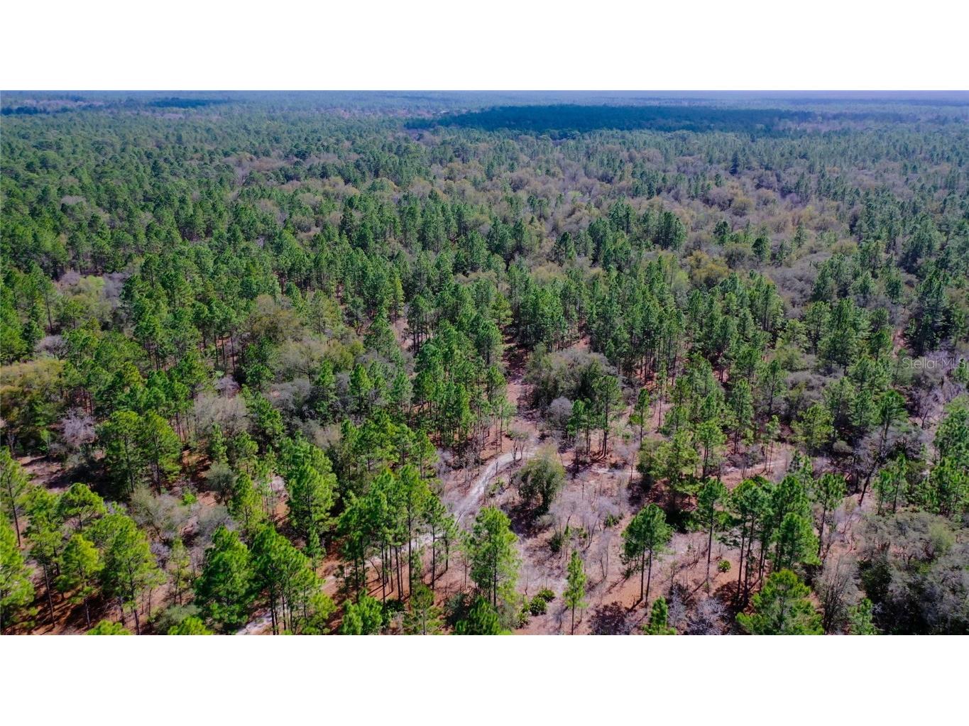 7137 W Sunmar Sample Lane Dunnellon FL 34433 TB8381410 image20