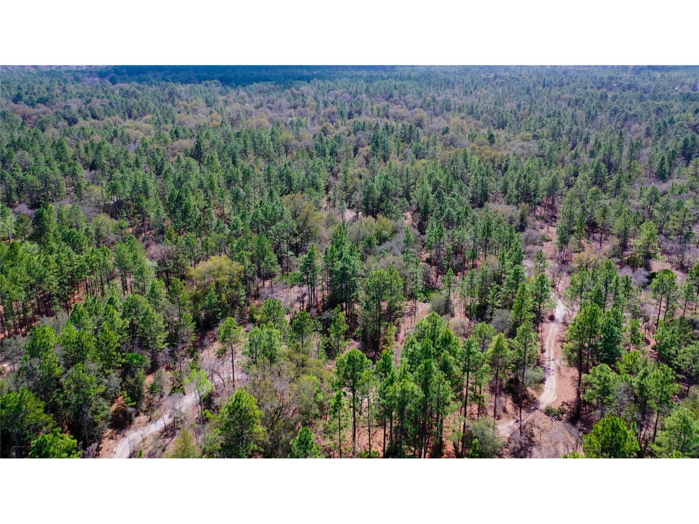 7137 W Sunmar Sample Lane Dunnellon FL 34433 TB8381410 image21