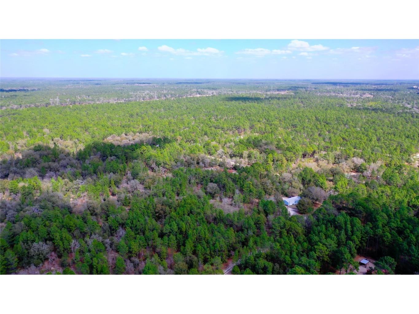 7137 W Sunmar Sample Lane Dunnellon FL 34433 TB8381410 image23