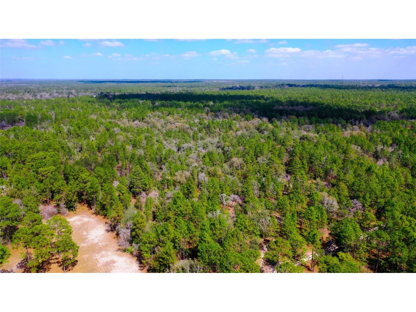 7137 W Sunmar Sample Lane Dunnellon FL 34433 TB8381410 image3