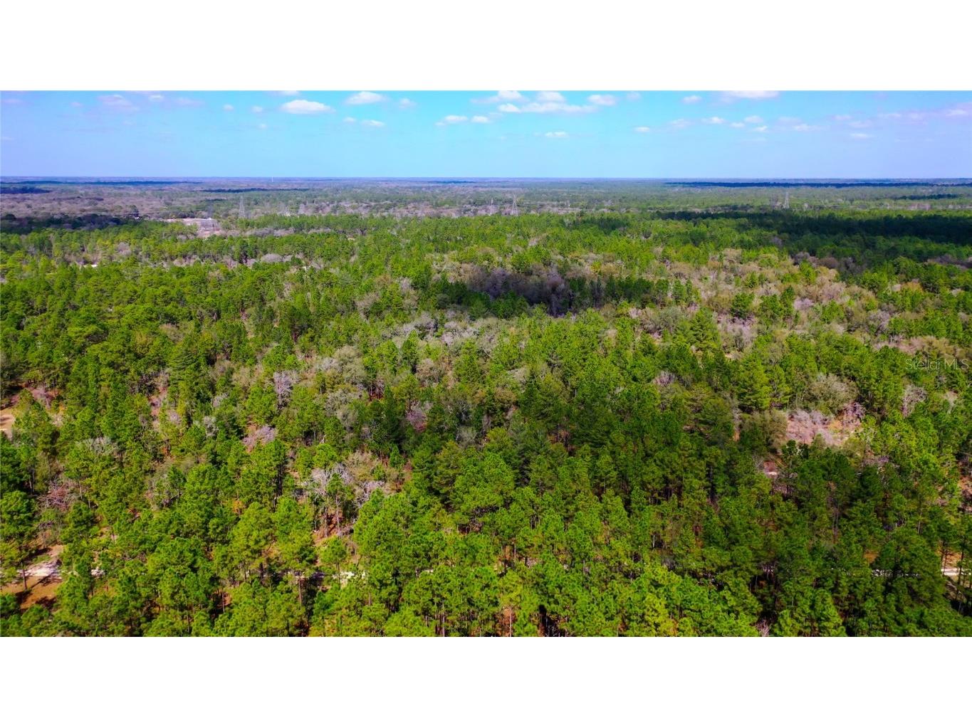 7137 W Sunmar Sample Lane Dunnellon FL 34433 TB8381410 image4