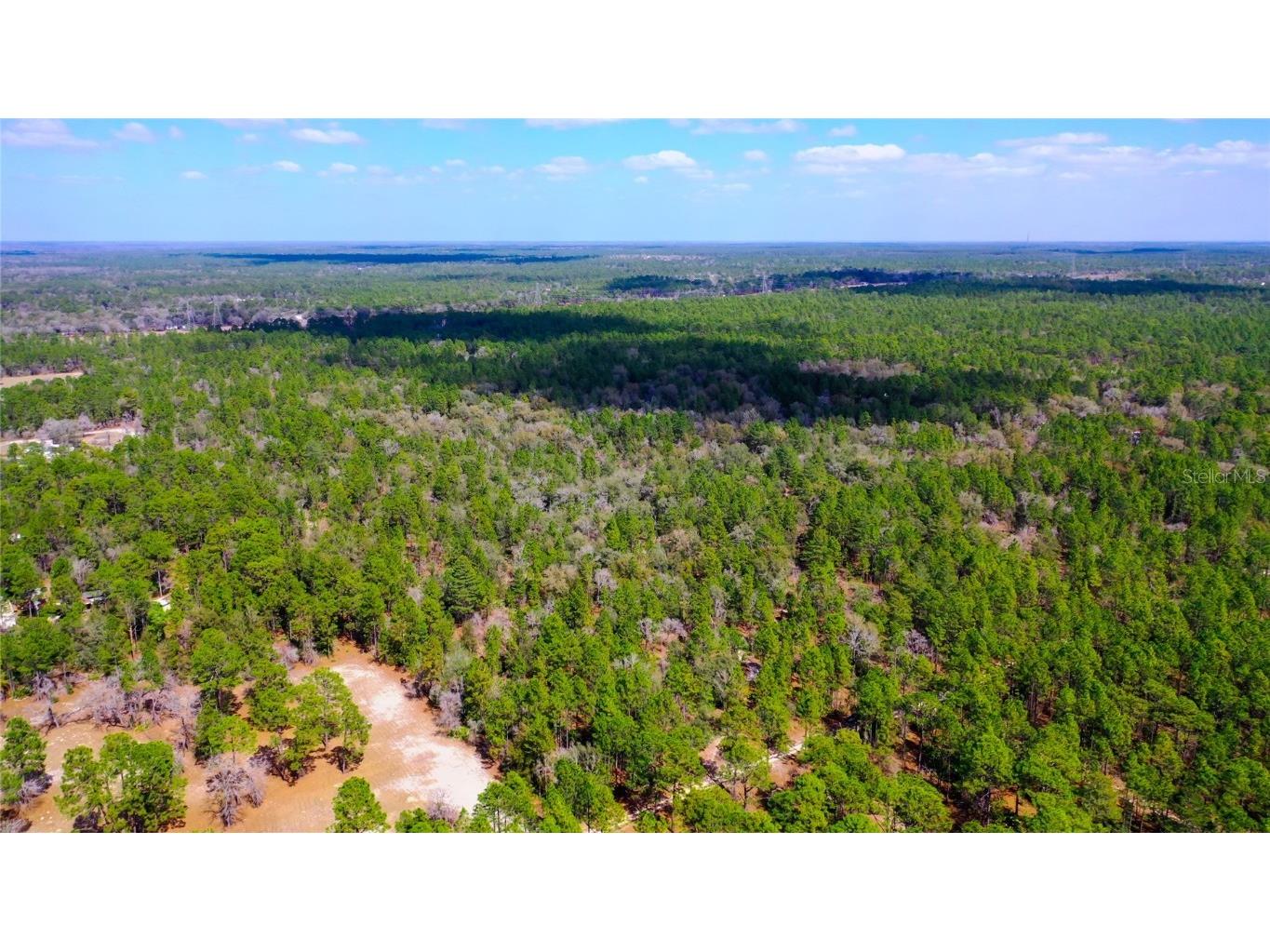 7137 W Sunmar Sample Lane Dunnellon FL 34433 TB8381410 image5