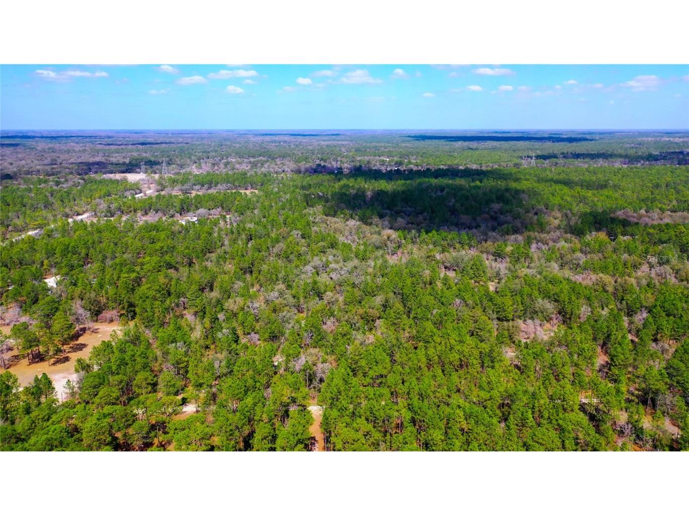 7137 W Sunmar Sample Lane Dunnellon FL 34433 TB8381410 image6