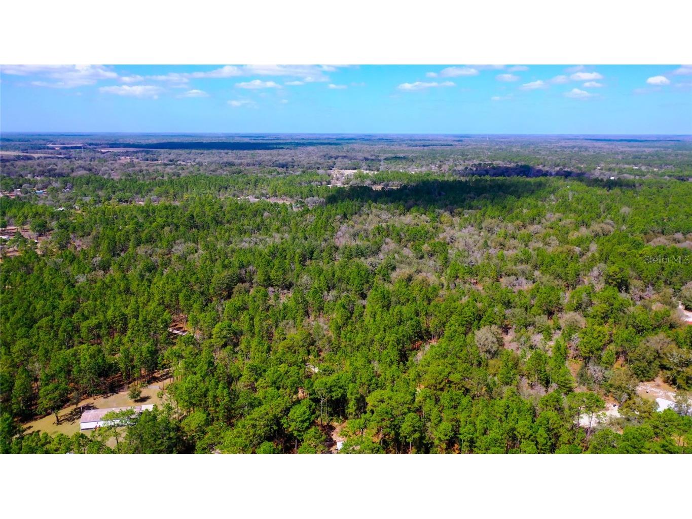 7137 W Sunmar Sample Lane Dunnellon FL 34433 TB8381410 image7