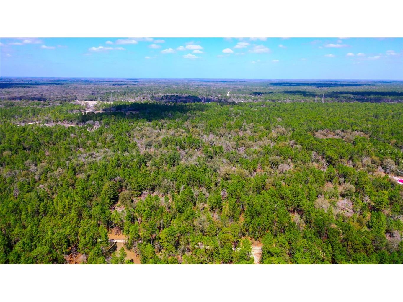 7137 W Sunmar Sample Lane Dunnellon FL 34433 TB8381410 image8