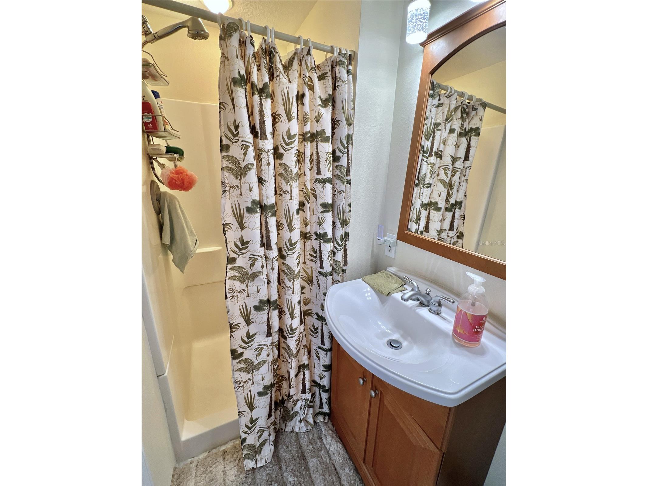 7138 Mount Hawthorne Road NE #586 Saint Petersburg FL 33702 - TAMPA BAY TB8486871 image15