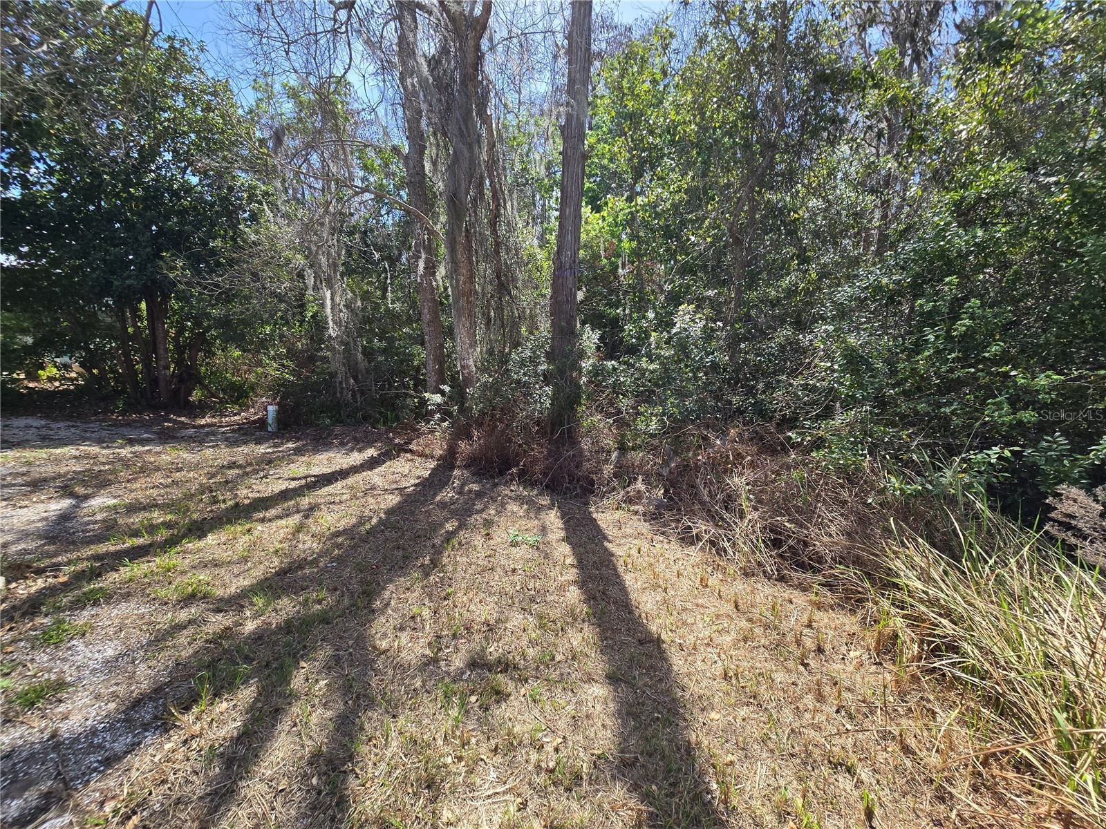 7139 Alamanda Boulevard W Lake Wales FL 33898 - LAKE PIERCE P4938058 image7