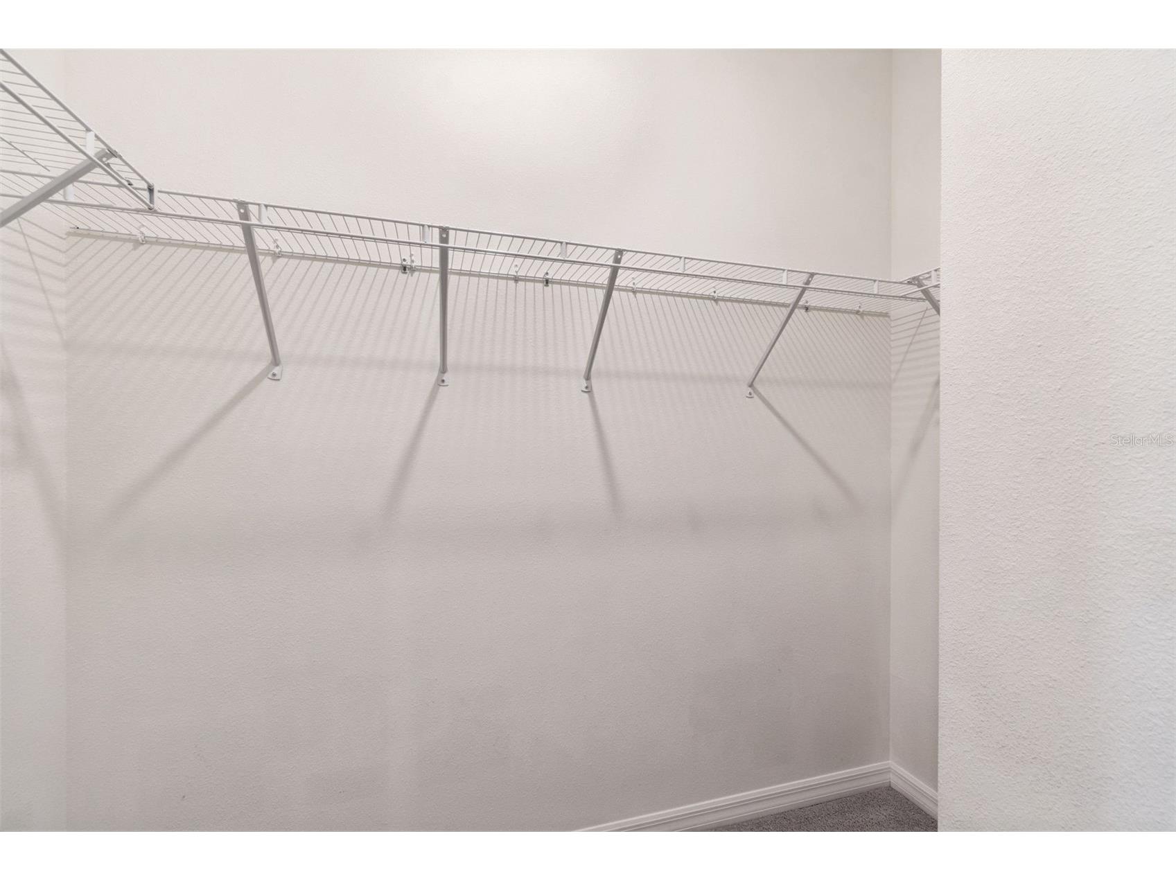 7139 Steer Blade Drive Zephyrhills FL 33541 TB8460935 image29