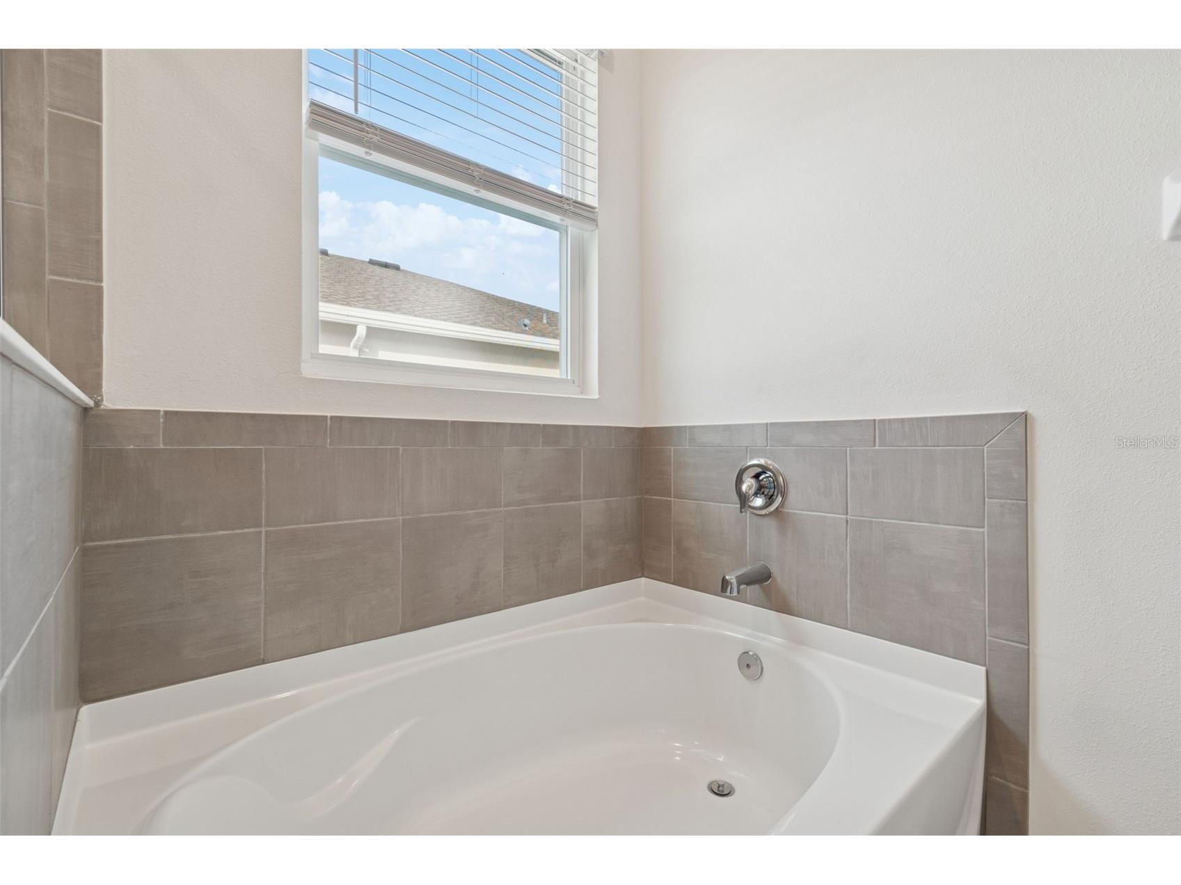 7139 Steer Blade Drive Zephyrhills FL 33541 TB8460935 image35