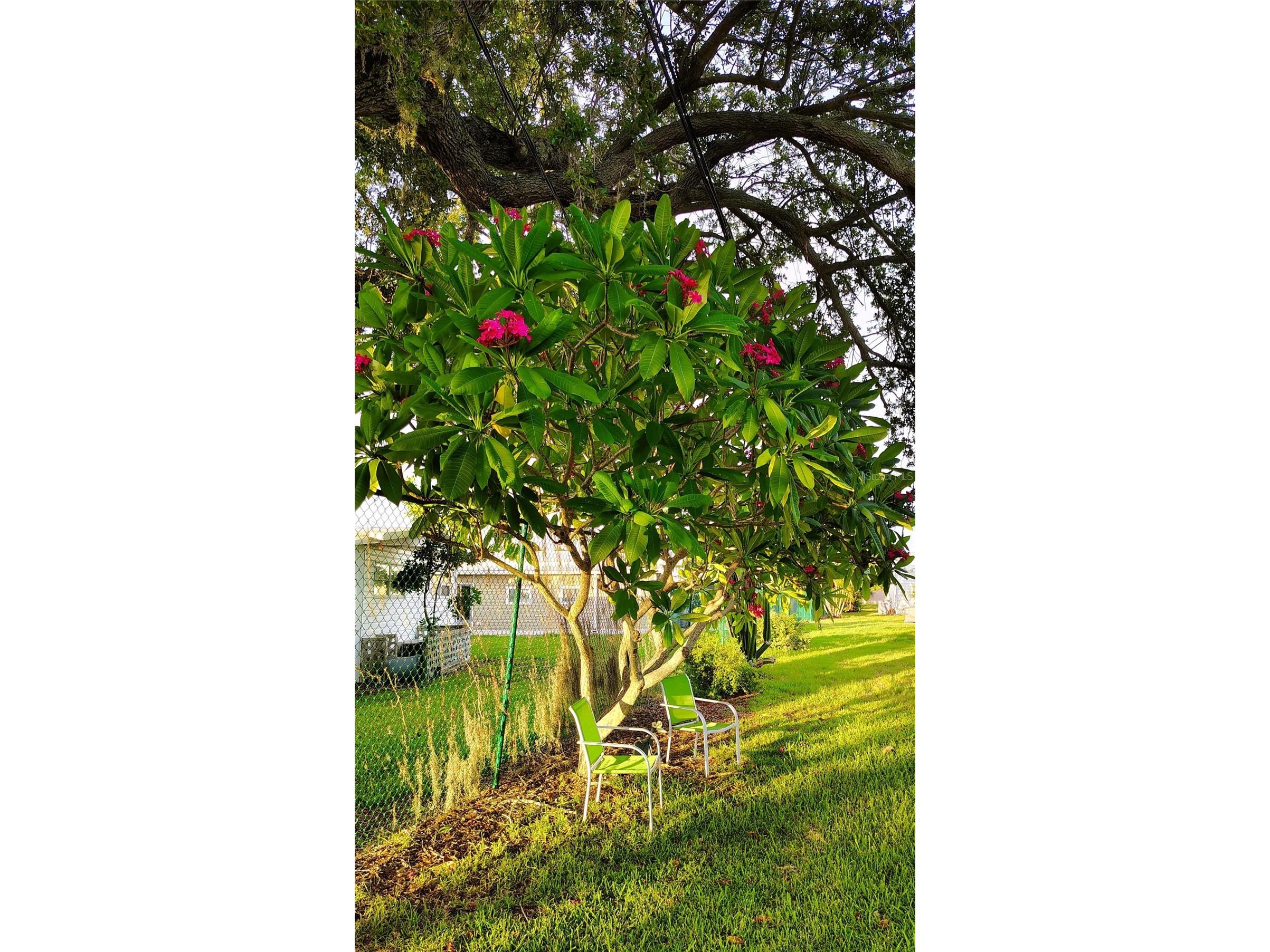 714 48th B Avenue E Bradenton FL 34203 O6419575 image24