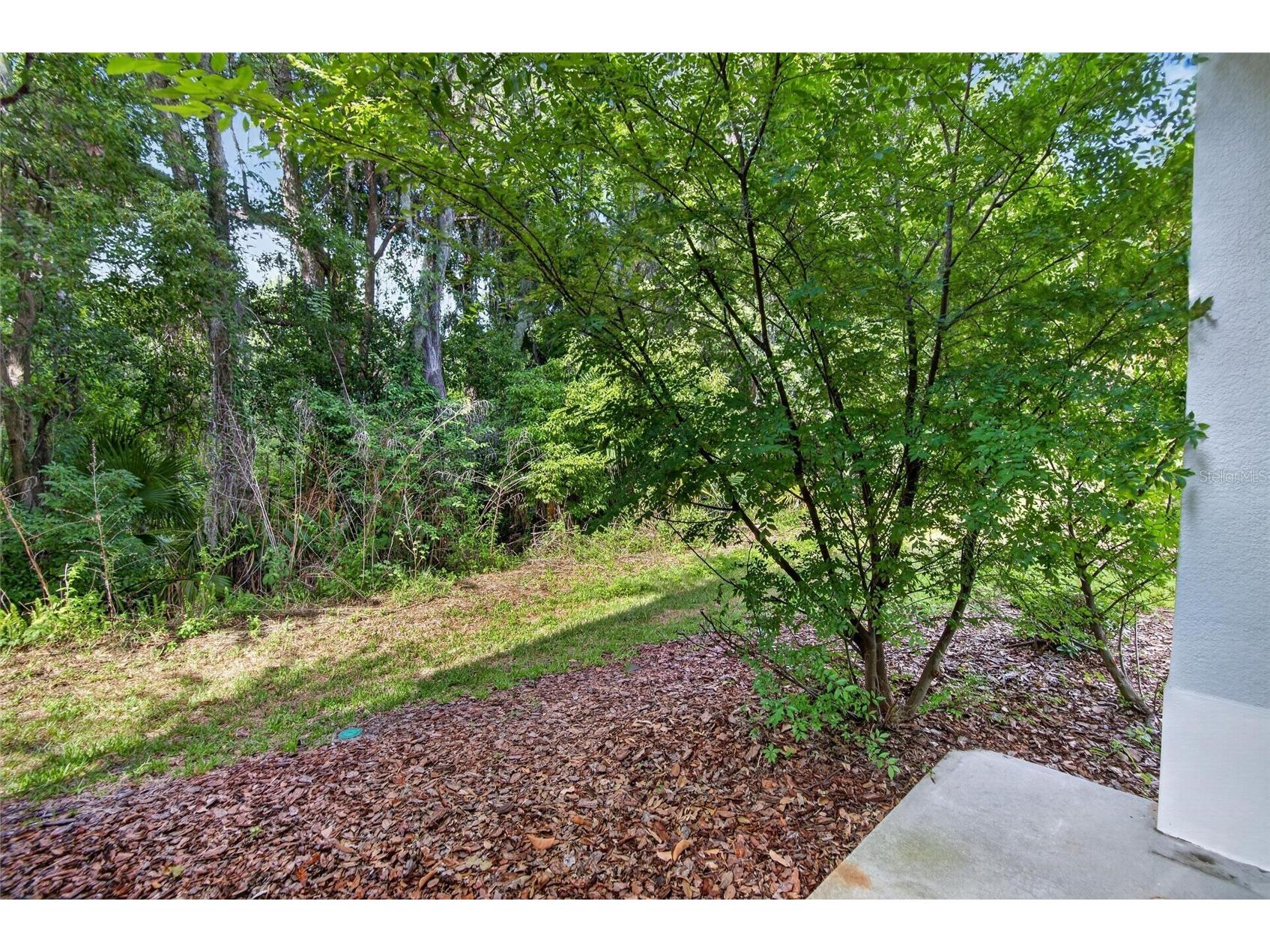 714 Ashentree Drive Plant City FL 33563 TB8511612 image36