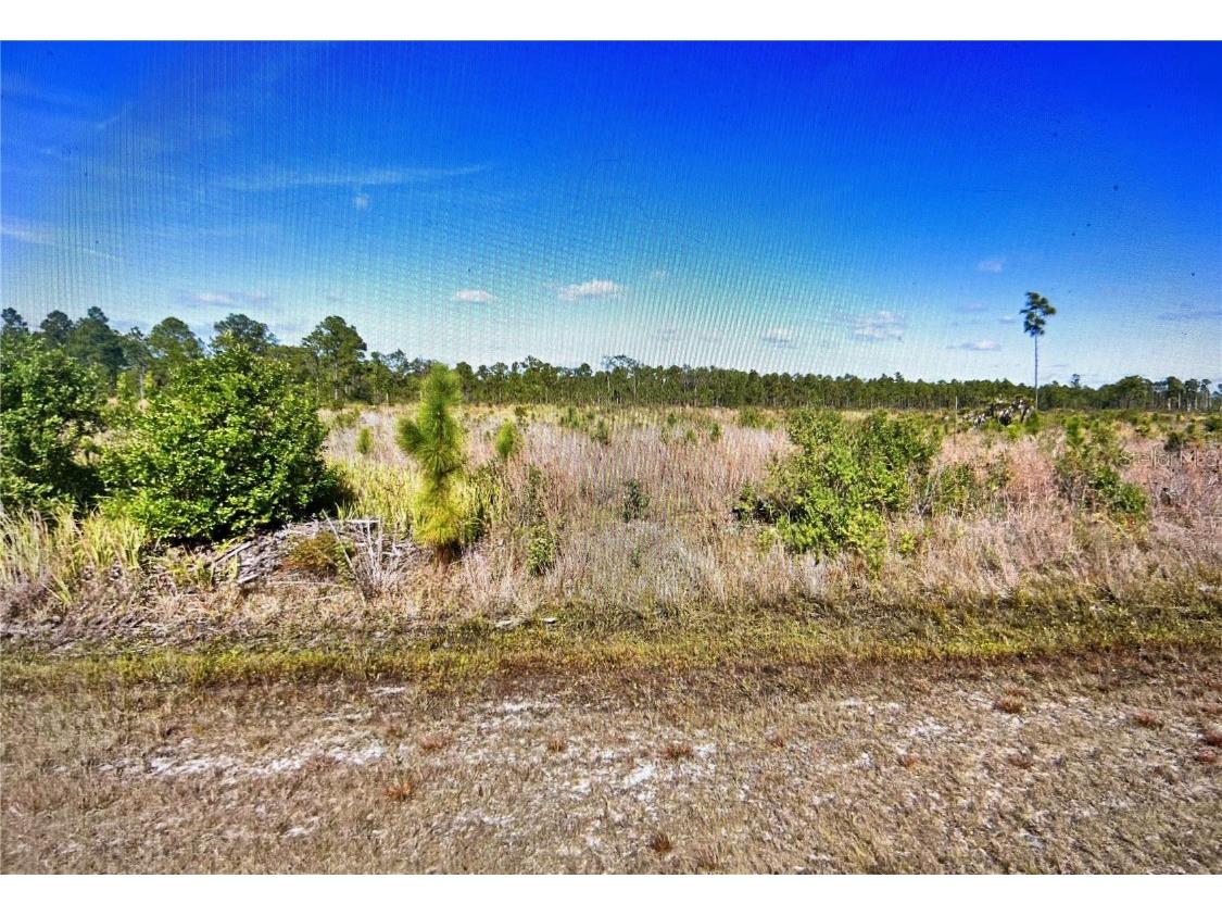 714 Calliandra Drive Indian Lake Estates FL 33855 P4927165 image1