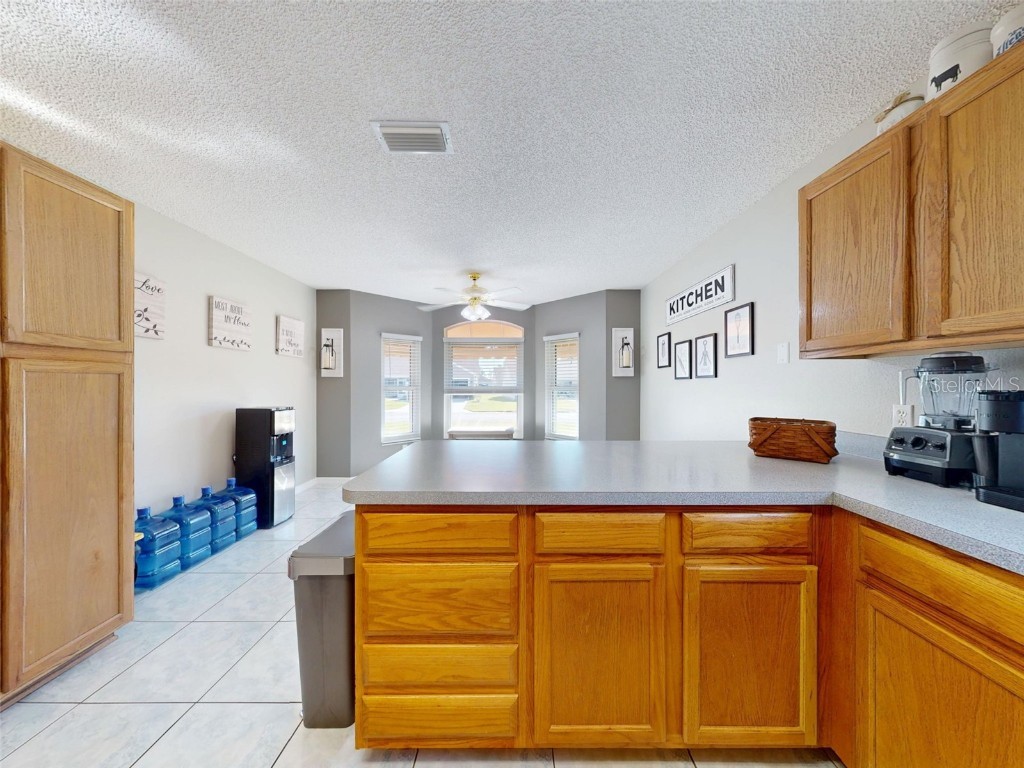 714 Del Rosario Street The Villages FL 32159 O6358712 image35