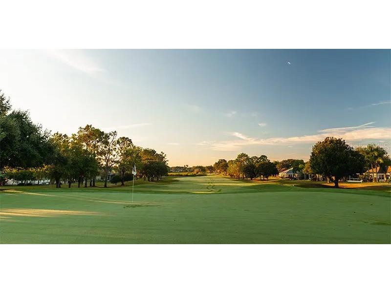 714 Del Rosario Street The Villages FL 32159 O6358712 image55