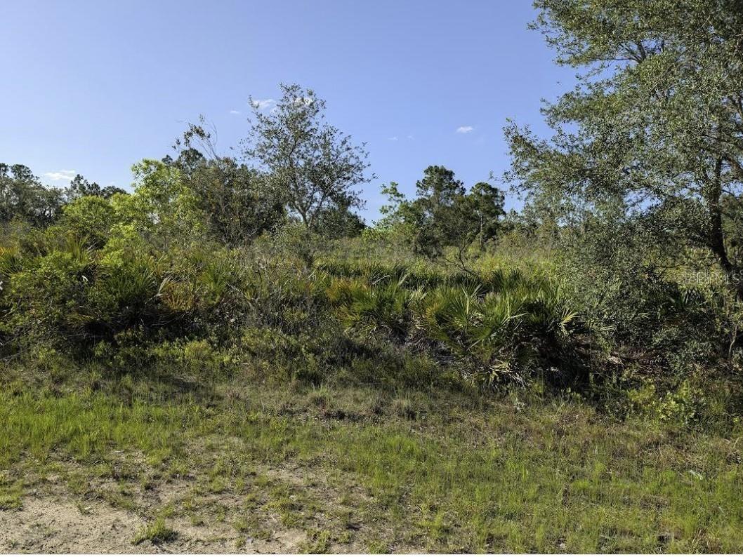 714 Magnolia Drive Indian Lake Estates FL 33855 - LAKE WALK-IN-WATER P4937434 image1