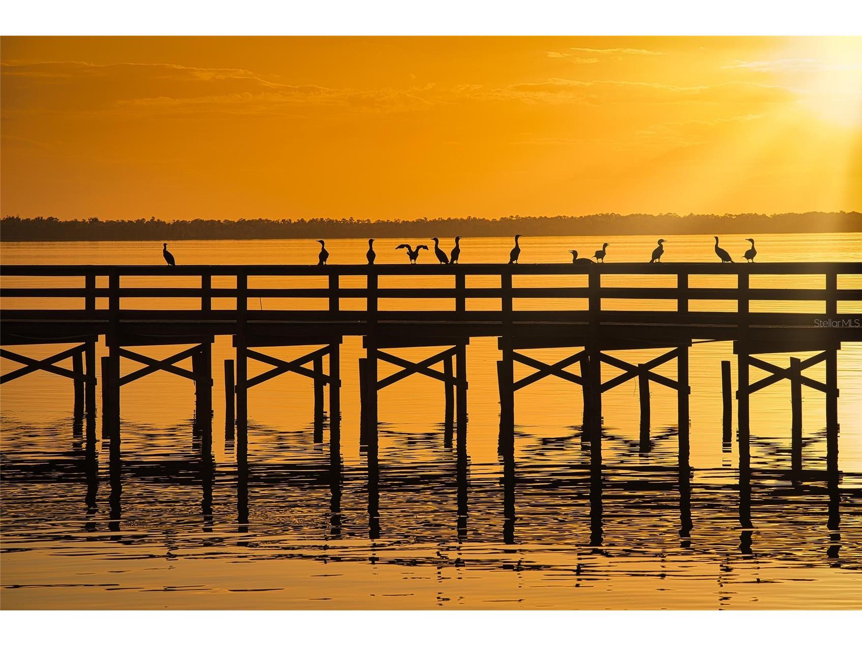 714 Magnolia Drive Indian Lake Estates FL 33855 - LAKE WALK-IN-WATER P4937434 image43