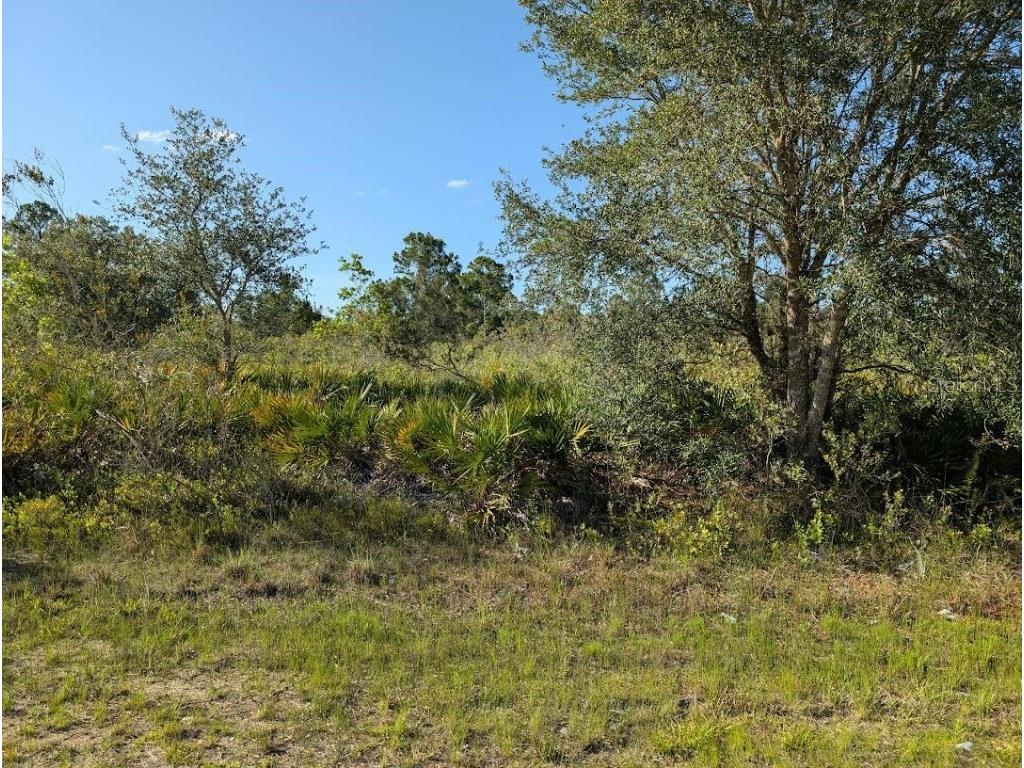 714 Magnolia Drive Indian Lake Estates FL 33855 - LAKE WALK-IN-WATER TB8399836 image1