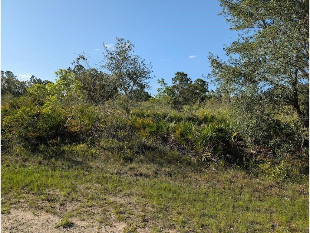 714 Magnolia Drive Indian Lake Estates FL 33855 - LAKE WALK-IN-WATER TB8399836 image2