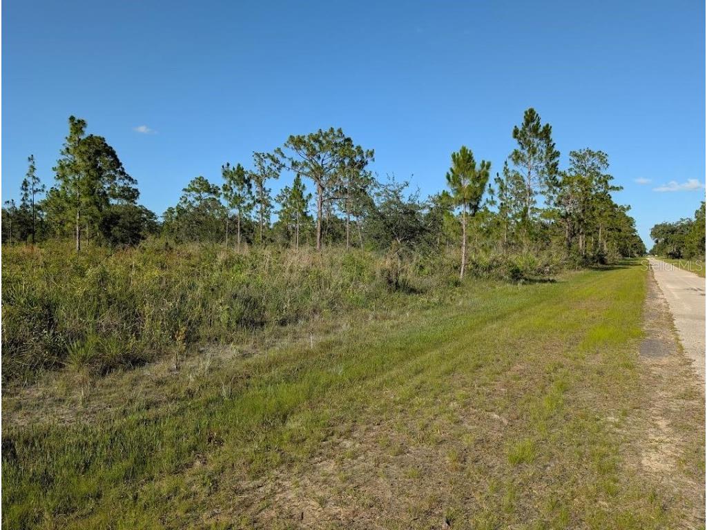 714 Magnolia Drive Indian Lake Estates FL 33855 - LAKE WALK-IN-WATER TB8399836 image3