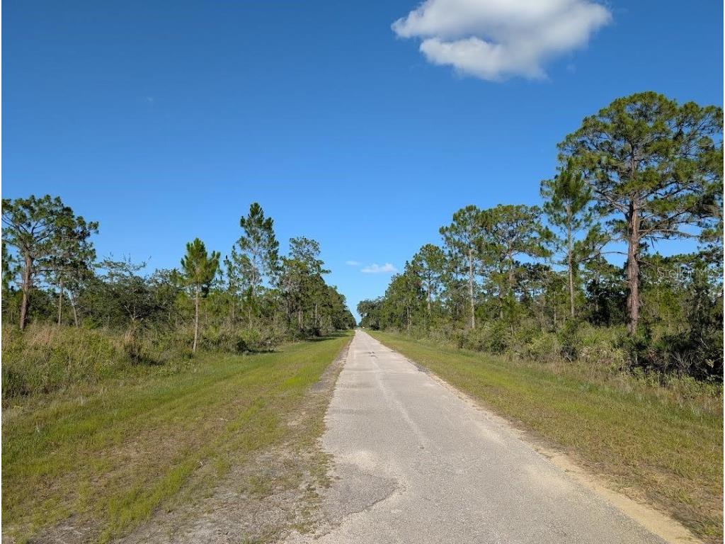 714 Magnolia Drive Indian Lake Estates FL 33855 - LAKE WALK-IN-WATER TB8399836 image4