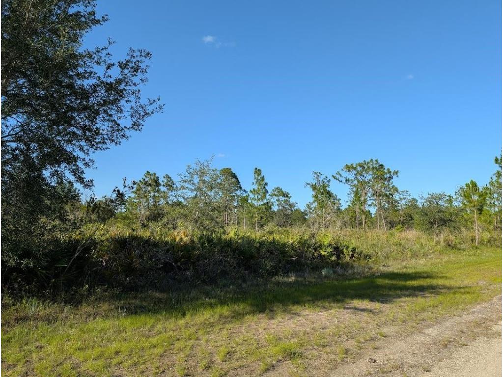 714 Magnolia Drive Indian Lake Estates FL 33855 - LAKE WALK-IN-WATER TB8399836 image5