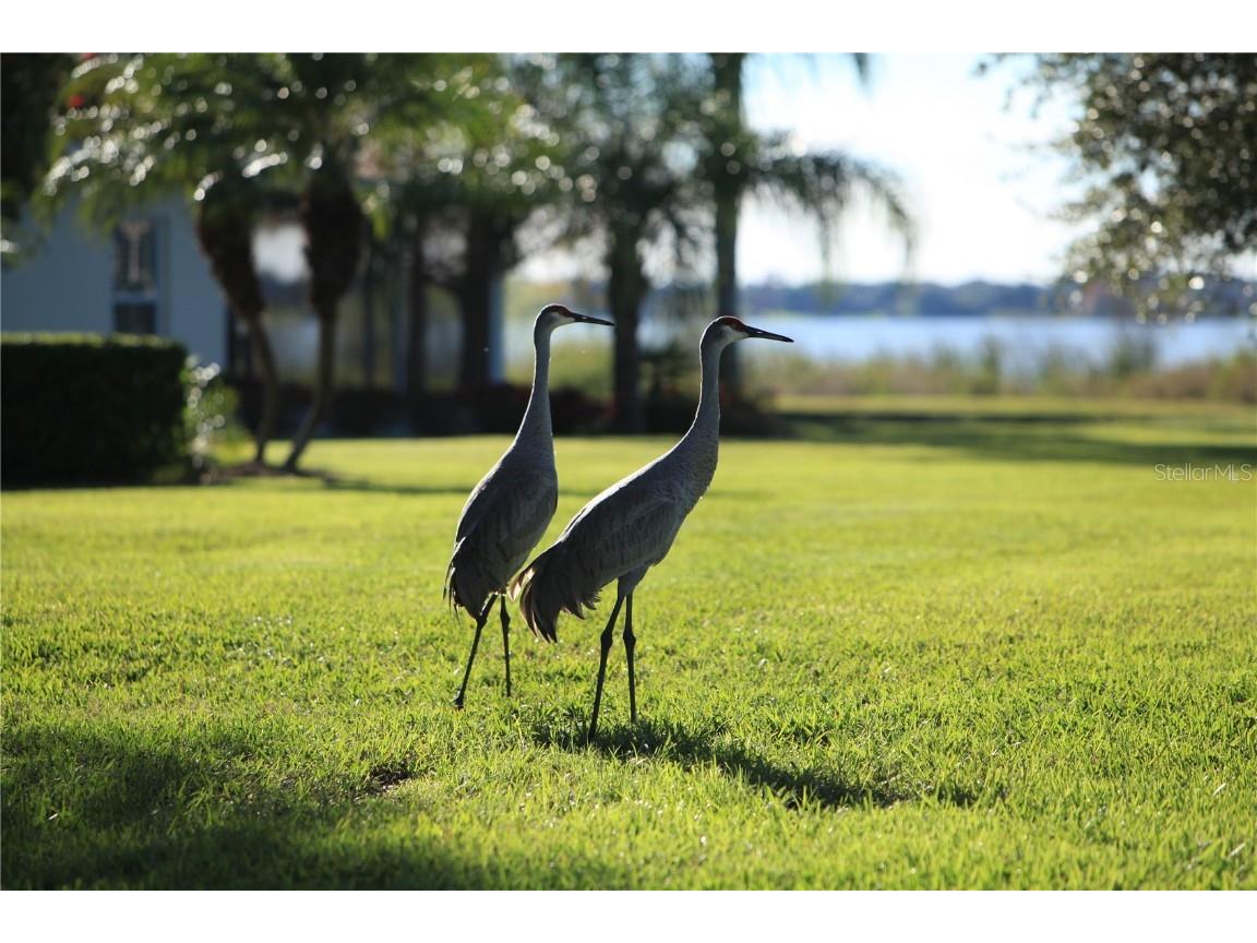 714 Magnolia Place #714 Winter Haven FL 33884 - WINTERSET P4936867 image20