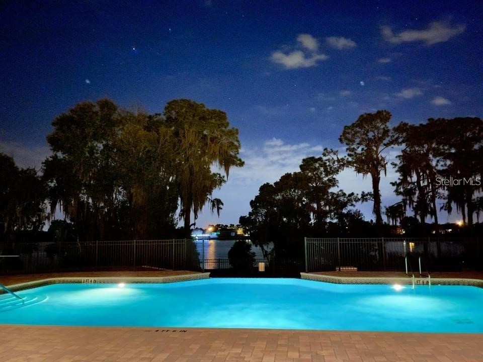 714 Meandering Way Polk City FL 33868 L4960163 image6