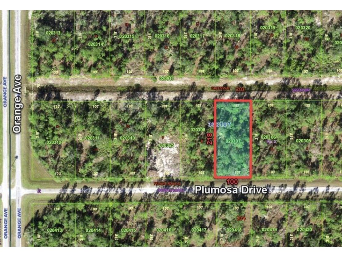714 Plumosa Drive Indian Lake Estates FL 33855 - LAKE WEOHYAKAPKA O6251068 image1