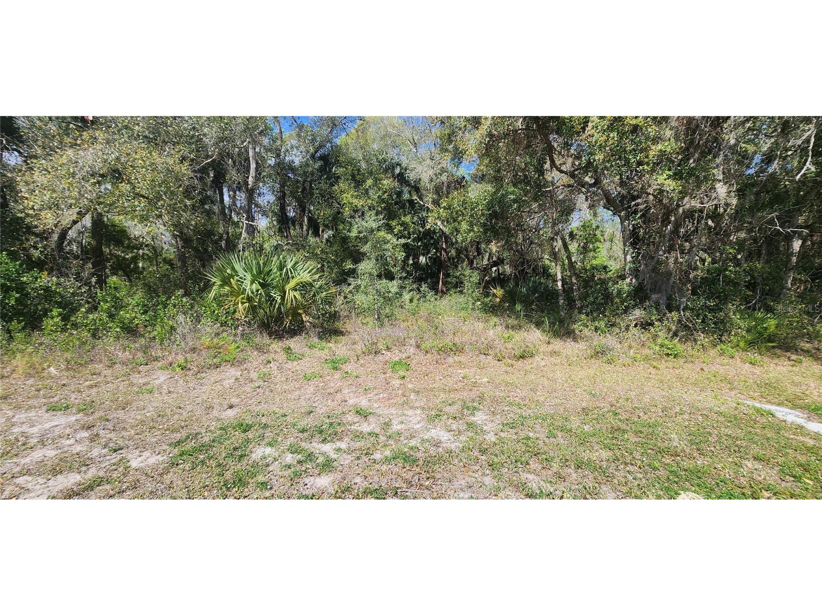 714 S Us-1 Oak Hill FL 32759 V4941380 image1