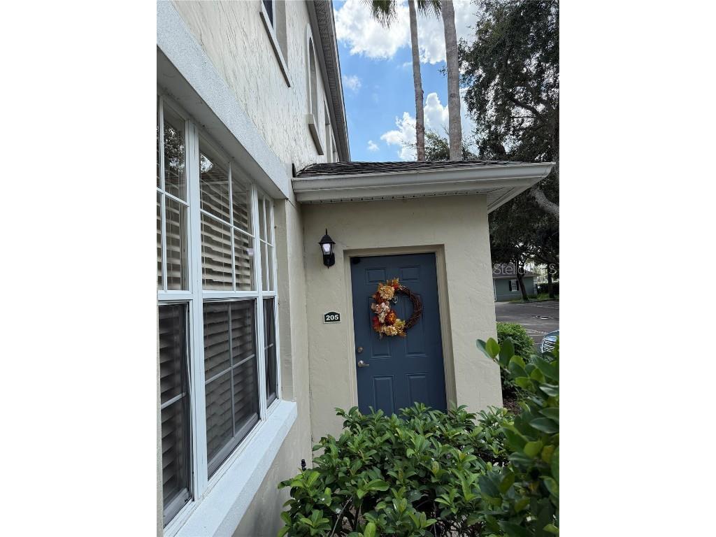 714 Siena Palm Drive #205 Kissimmee FL 34747 O6338568 image4