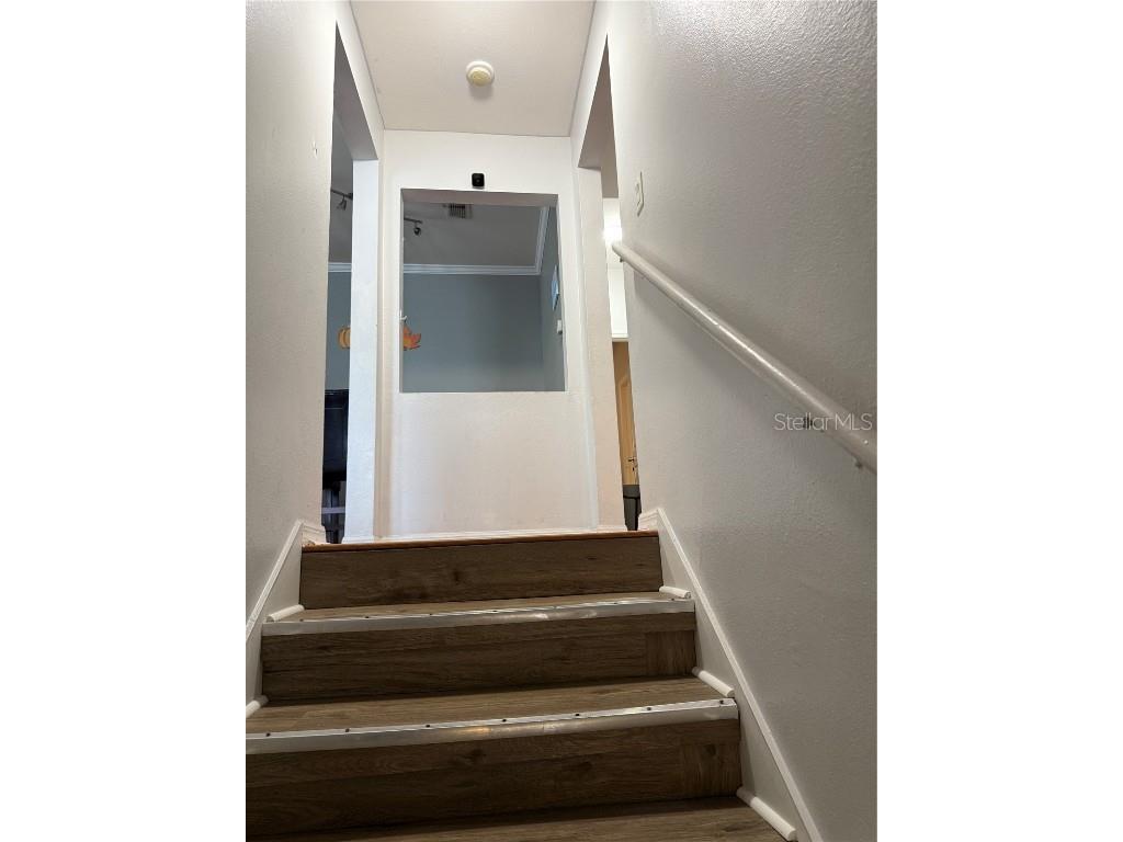 714 Siena Palm Drive #205 Kissimmee FL 34747 O6338568 image5