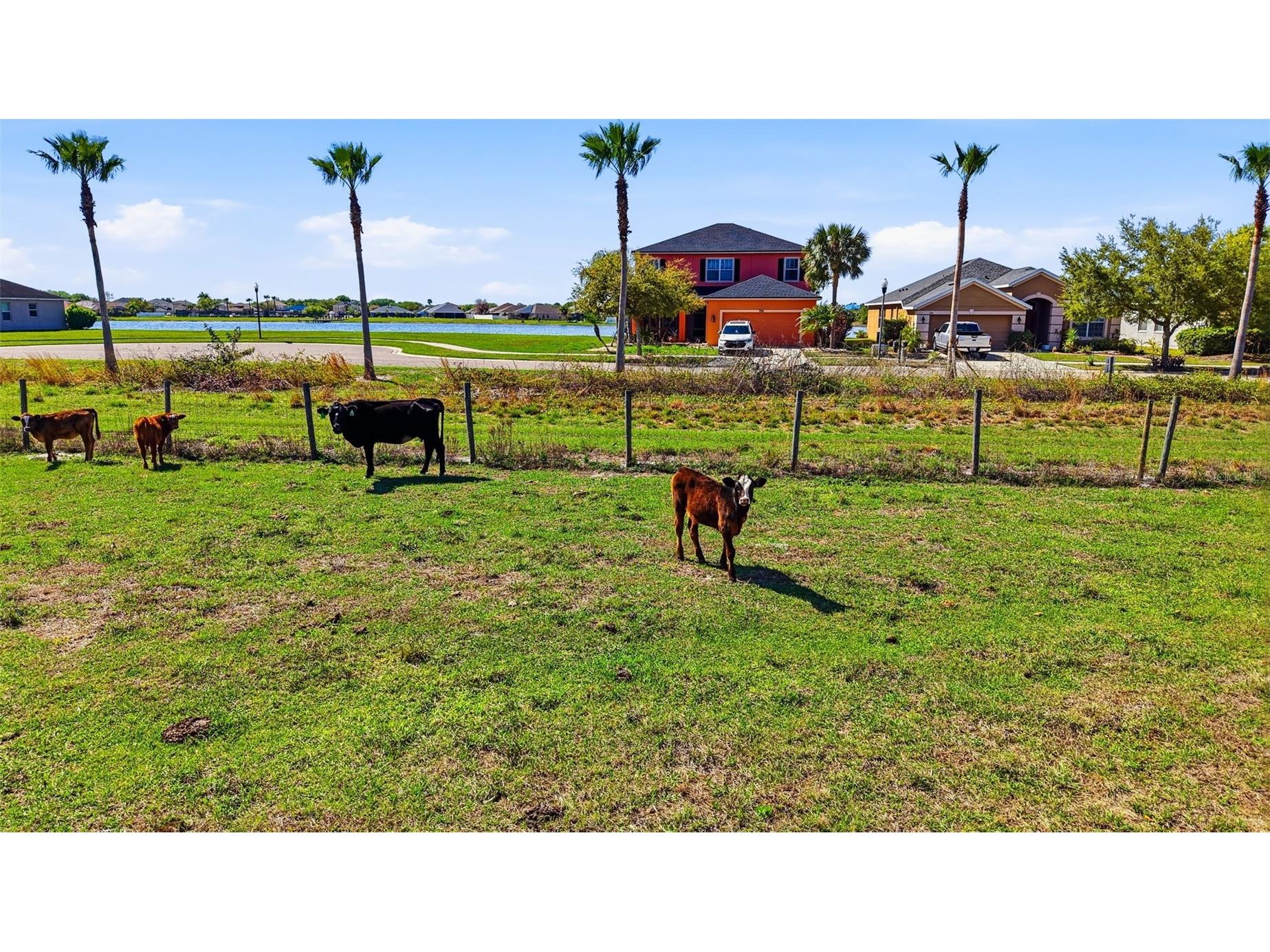 714 Tanana Fall Drive Ruskin FL 33570 TB8489295 image48