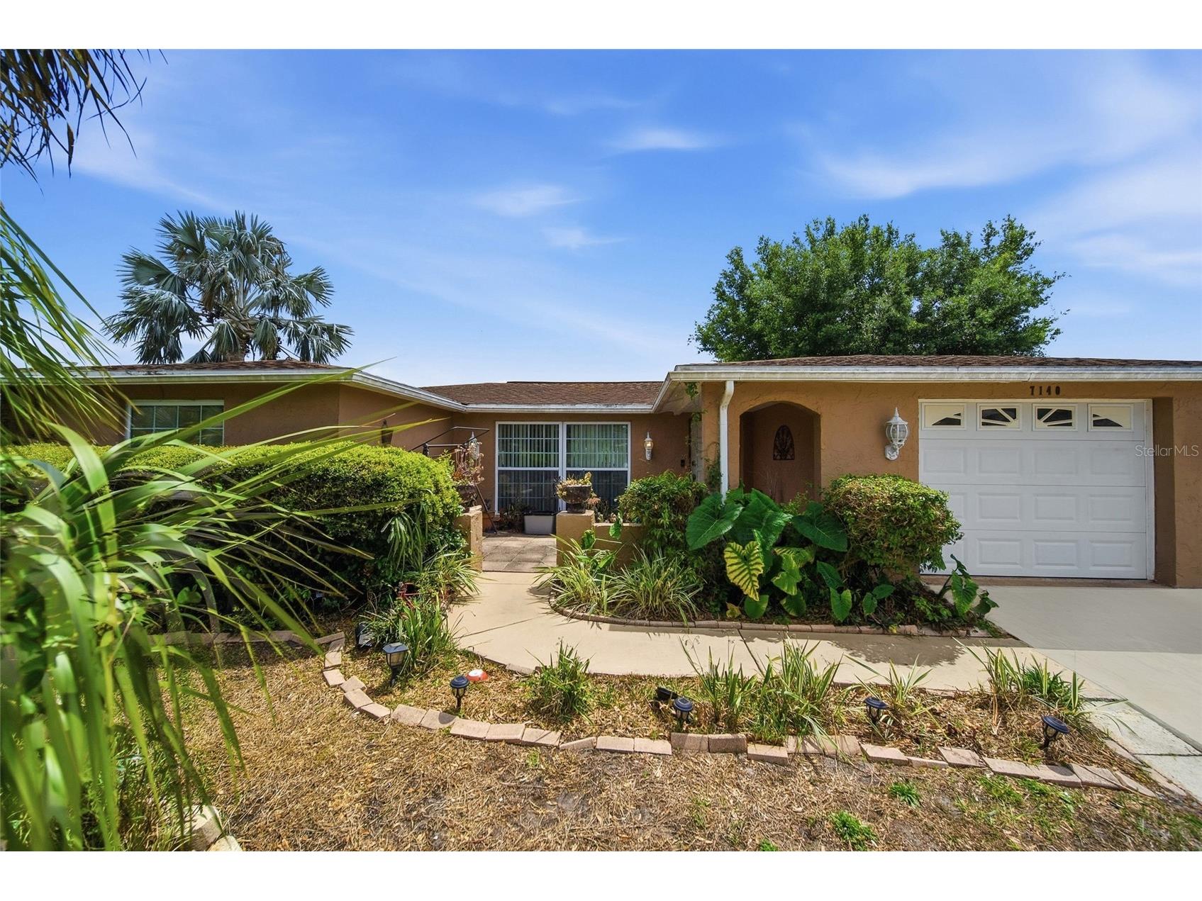 7140 Rockwood Drive Port Richey FL 34668 W7884434 image3