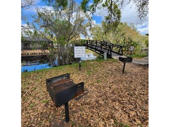 7141 E Bank Drive #7141 Tampa FL 33617 TB8429532 image13