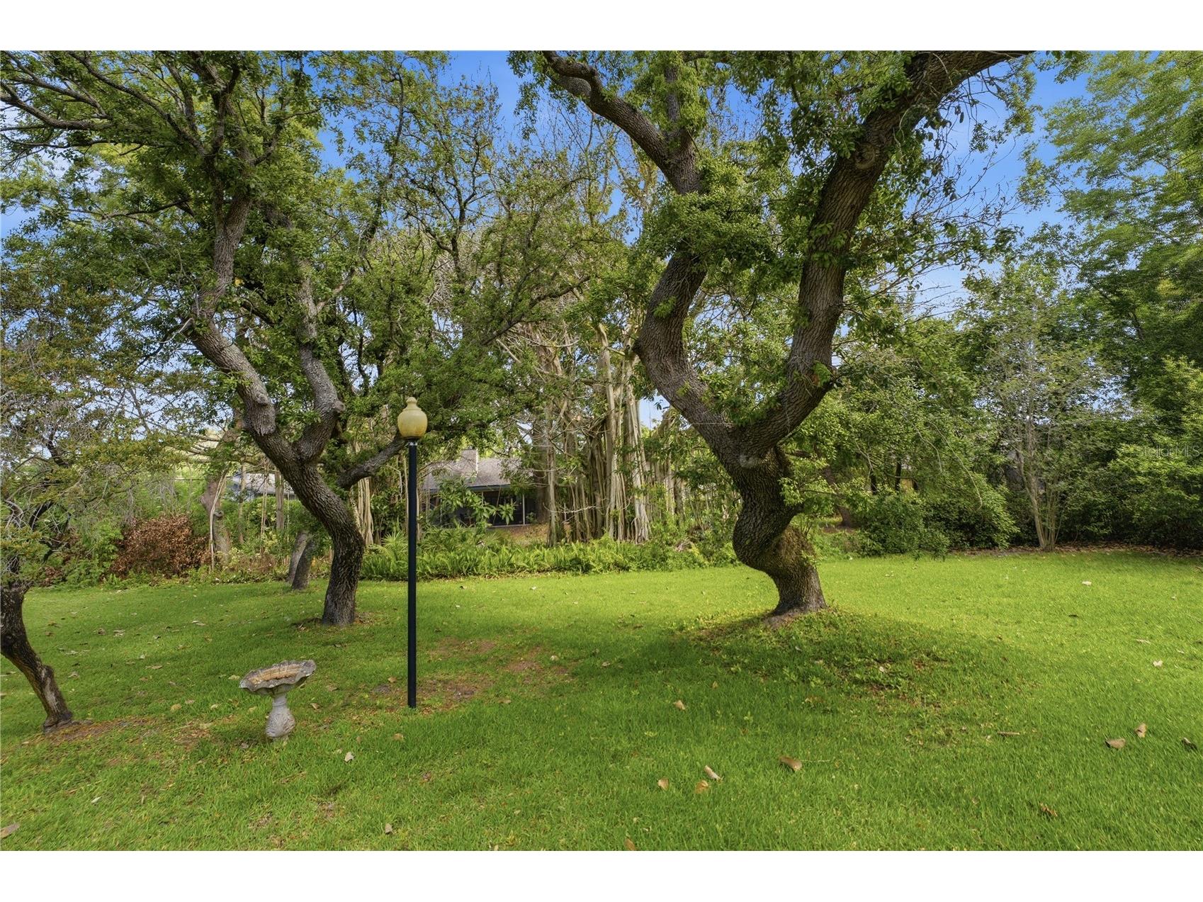 7141 Wooded Village Lane Orlando FL 32835 O6393100 image49