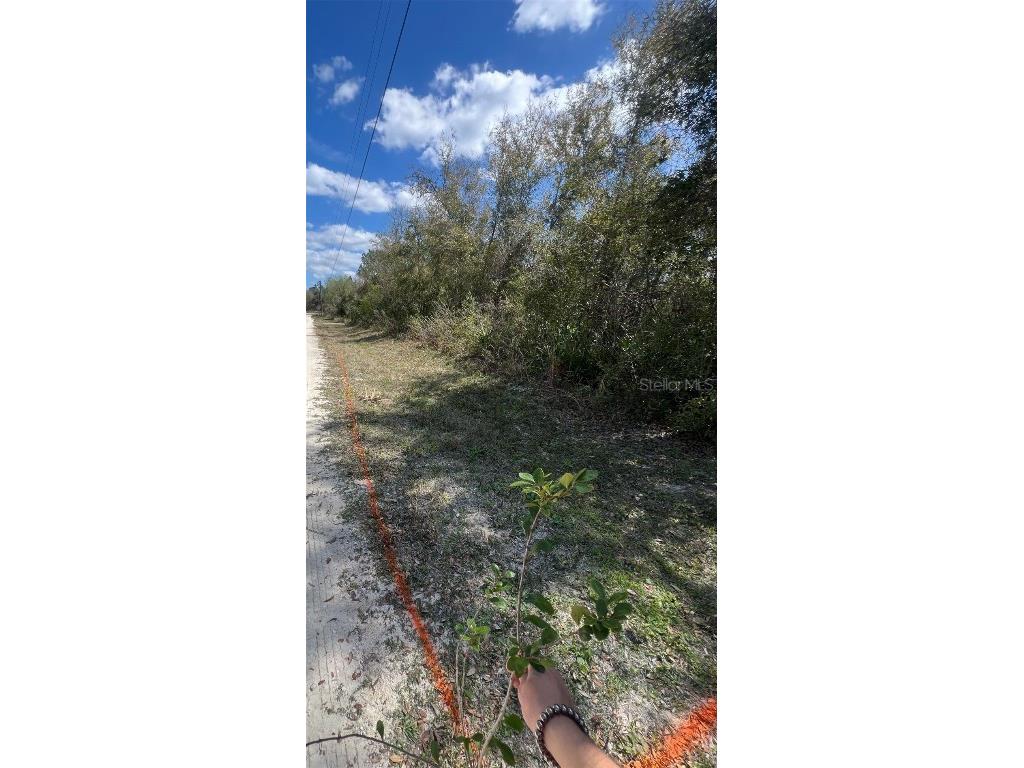 7143 Alloy Street Webster FL 33597 G5104276 image1