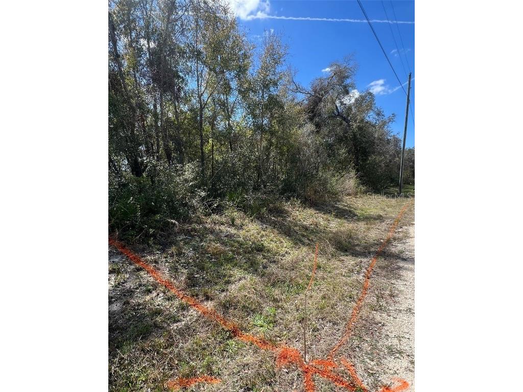 7143 Alloy Street Webster FL 33597 G5104276 image3