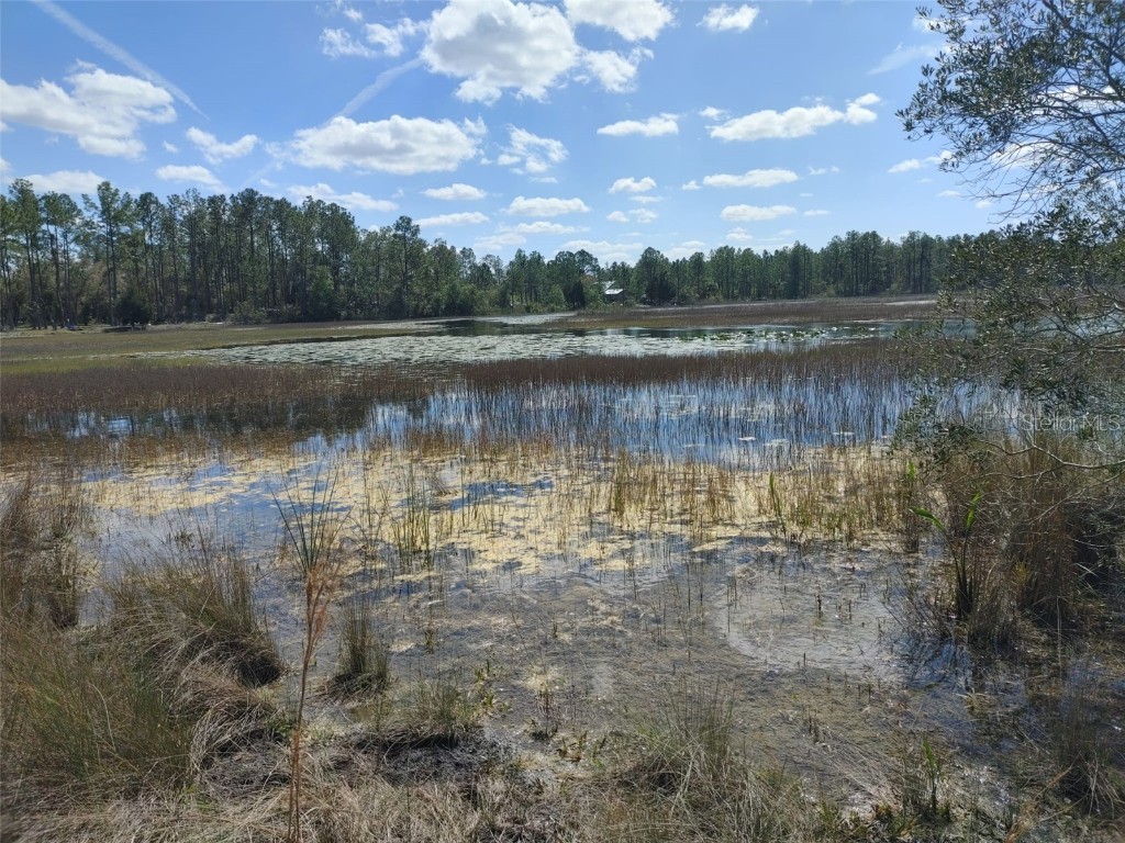 7143 Alloy Street Webster FL 33597 G5104276 image4