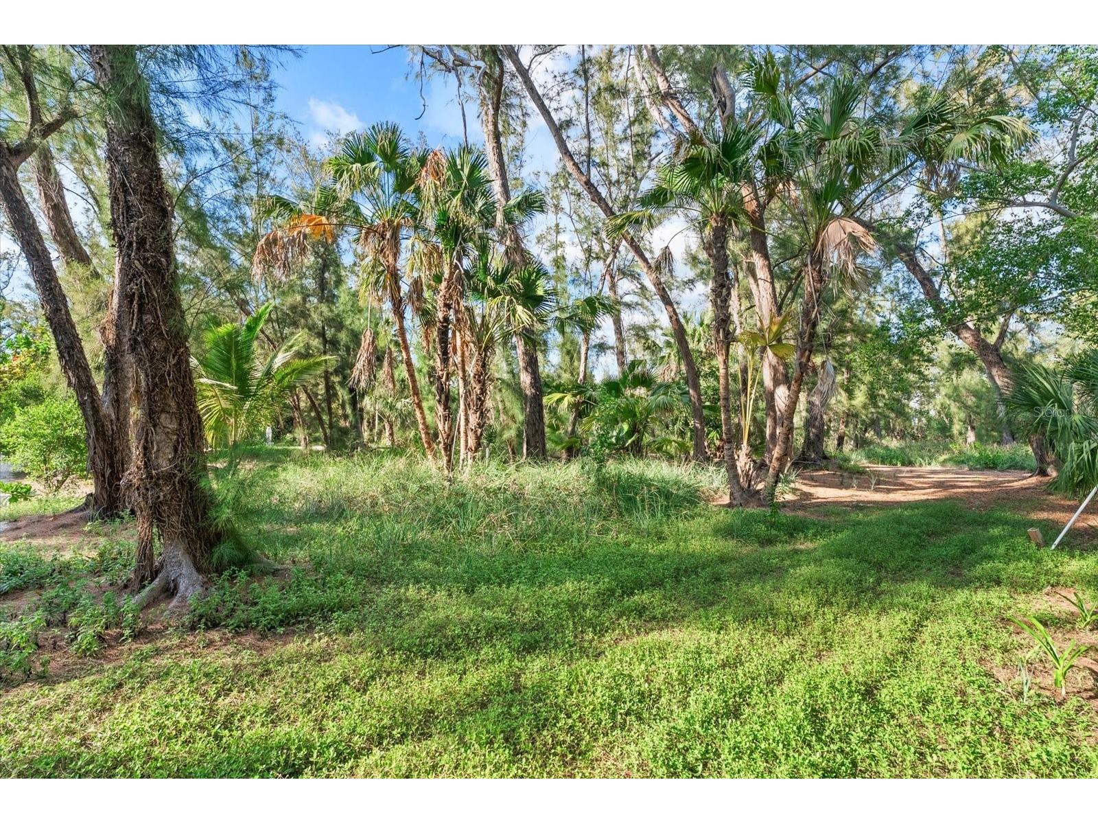 7143 La Lenaire Drive Longboat Key FL 34228 A4694196 image62