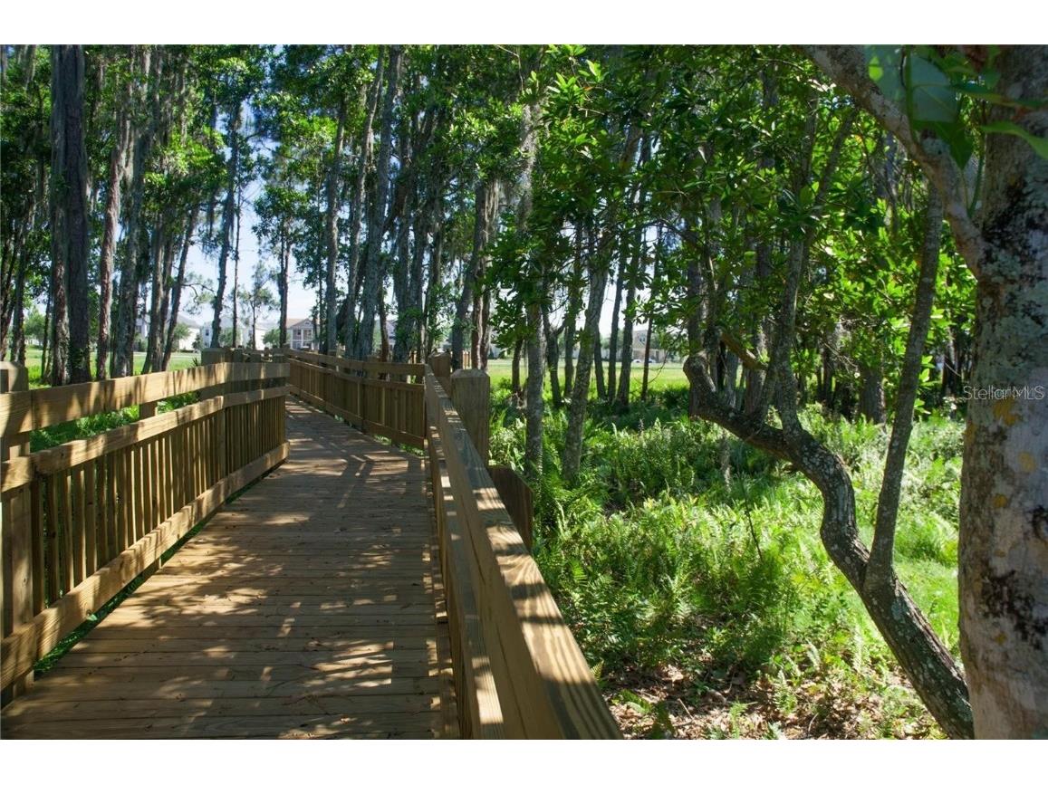 7143 Oak Glen Trail Harmony FL 34773 - BUCK LAKE AND CAT LAKE T3457760 image11