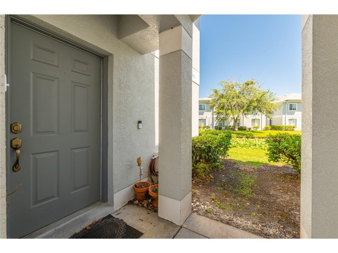 7143 Waterside Drive Tampa FL 33617 W7854278 image1