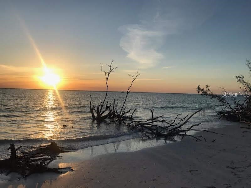 7143 Wood Creek Drive #203 Sarasota FL 34231 A4686189 image41