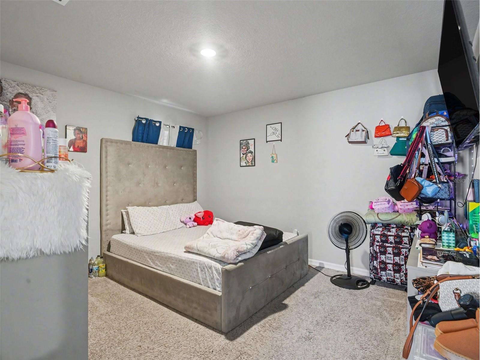 7144 Boggy Creek Place Parrish FL 34219 TB8490597 image22