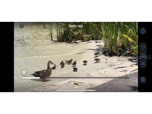 7145 Lake Drive Orlando FL 32809 - CONWAY CHAIN OF LAKES O6316123 image78