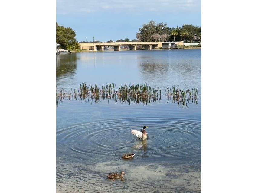 7145 Lake Drive Orlando FL 32809 - CONWAY CHAIN OF LAKES O6316123 image82