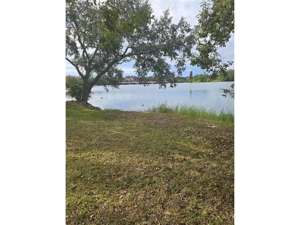 7146 E Bank Drive #7146 Tampa FL 33617 TB8458141 image16