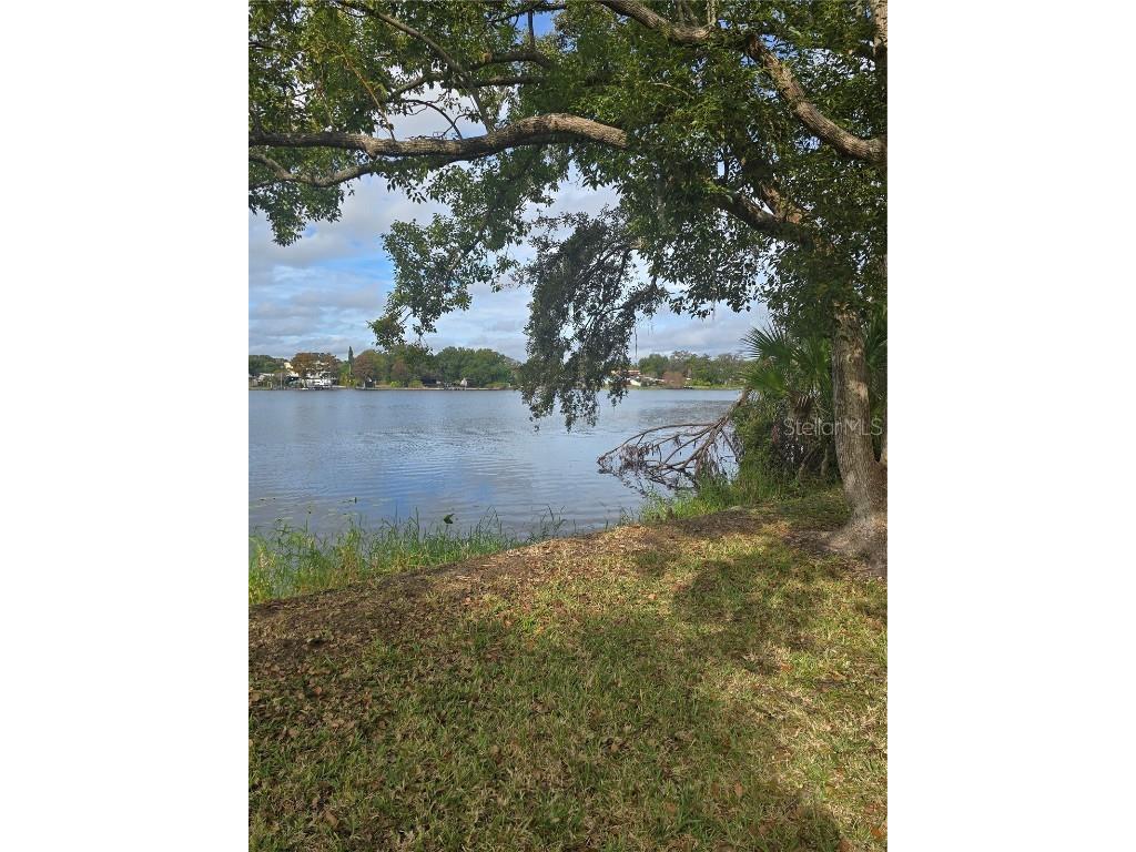7146 E Bank Drive #7146 Tampa FL 33617 TB8458141 image17