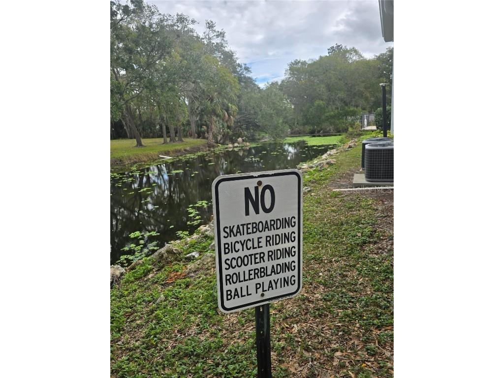 7146 E Bank Drive #7146 Tampa FL 33617 TB8458141 image18